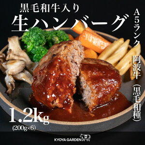 јa A5N g ؓ ҂ W[V[no[O no[O 1.2kg 200g×6 ґ  a  ؓ   i  Ε Mtg ̓ ̓