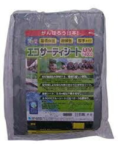 ���� �G�R�T�[�e�B�V�[�g#4000 5.4X7.2m �V���o�[