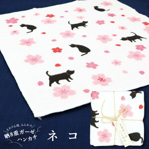 y|Cg10{ő1000~N[|z{ 100 a /N8d K[[ nJ` lR/K[[nJ`  킢 @ xr[ xr[PA V  悾ꂩ c ۈ牀 