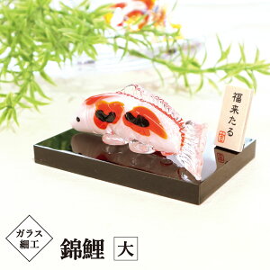 y|Cg10{20OFFN[|zKX׍H ь @t    CeAь J^ Japanese carp u  N IWi glass 킢 A K K^ KX C