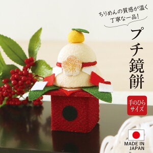  u ߂ RpNg  / v`  /   k 킢   