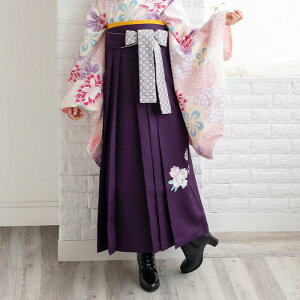 ([XhJ WjA)  Ǝ WjA w ͂ Pi ̎q 6colors w U   ڑ K[Y