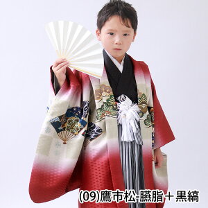 y؈S12_tZbgz ܎O  j̎q 5  w ̔ 銕   j 753 HD HD уZbg j̎q Zbg a g  q ܍ 5  {[CY 110cm - 120cm (rg)