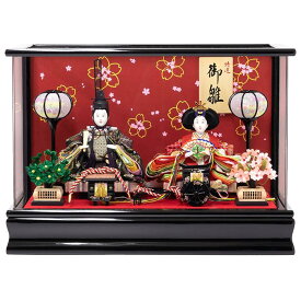 【在庫一掃セール在庫限り】　( 雛人形 御駕篭 / 御所車 A) ケース飾り コンパクト おしゃれ ひな人形 可愛い ケース 親王飾り 小さい ひなまつり ひな祭り 雛祭り 人形 飾り(hm)