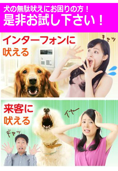 楽天市場 犬用 無駄吠え 禁止くん 首輪 3つの しつけ 方法 音 電気 振動 ムダ吠え 無駄吠え防止 微電流 電気ショック トレーニング 近隣トラブル 犬 防水 外飼い バッテリー 充電 正規品 最新モデル Kyplaza 楽天市場店