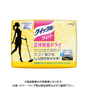 ԉ NCbNCp[ hCV[g40 hC^Cv281999