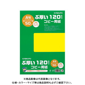 {m[g(LNgEEA\VGCc) Ԍ120gsmRs[pA4 PPC120A4