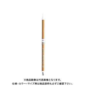 ؂Ă ʕM IM (pbN) XFS1-1