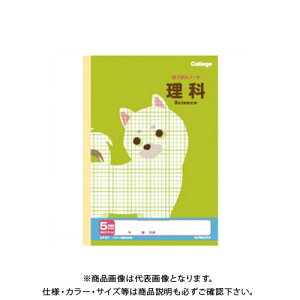 {m[g(LNgEEA\VGCc) JbWȖږ5mmm[g LP31