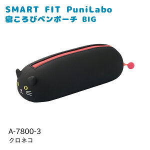 qgu SMART FIT PuniLabo Qуy|[` BIG A-7800