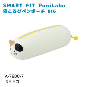 qgu SMART FIT PuniLabo Qуy|[` BIG A-7800