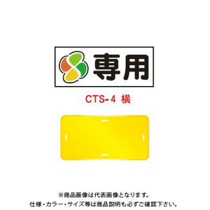 yʓrzyizS R[gbvTC u(݂}[N)pv ^ F nJ}t (20) CTS-4