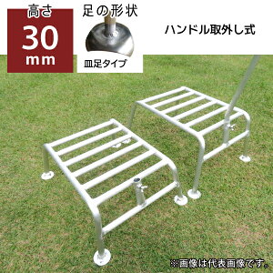 yʓrzyiz~c Ip A~ݑ䃏Ch nhO 30cm M^Cv