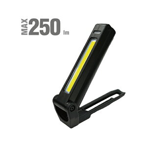 [d LED|Pbg[NCg AbNXu[ AWL-250CF