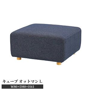 L[u Ibg}L lCr[ W80×D80×H41cm Xc[ `FA k u 1l| t@ubN zn  [J[i J SS-118NVE