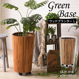 Ebhv^[ L uE 39×H65cm Ebhv^[ v^[ ؐ  i` ꕨ ϗtA  CeA CeAG   [J[i J GUY-814