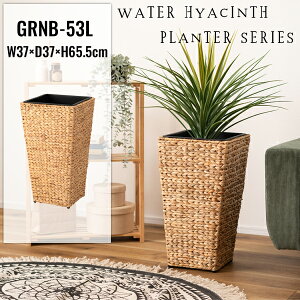 v^[p nC^Cv LTCY W37×D37×H65.5cm GRNB-53 9p p^  AWA ϗtA A Vv EH[^[qVX G CeA  uE F ҂  S~ [ 