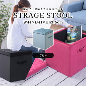 XNGA [Xc[M 43.5cm u[ Xc[ [{bNX t^t xAn   ֎q Ibg} 킢 p^ MTCY i J BLT-58BL