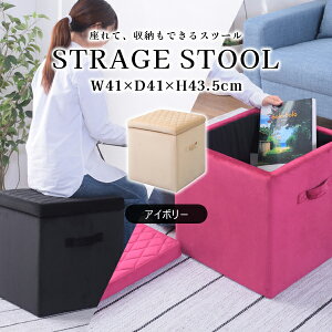 XNGA [Xc[M 43.5cm AC{[ Xc[ [{bNX t^t xAn   ֎q Ibg} 킢 p^ MTCY i J BLT-58IV