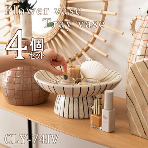 gCx[X 12cm 4Zbg AC{[ IuWF CeA  ANZT[gC fBXvC  k  Z~bN _  [ t XgCv {[