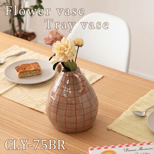 t[x[X 21cm uE ԕr Ԃт t[X^h k  Vv  퐻 a_ _ g 킢 傫 t `FbN  X i J CLY-7