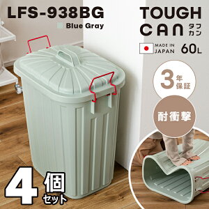 ^tJ 60L 62.2cm 4Zbg u[O[ S~ X _Xg{bNX |G` vVv ϏՌ O ɂ { t^t bN Jo[ZCo[ ^ y 