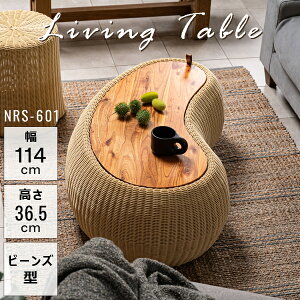 rOe[u 36.5cm x[W Z^[e[u e[u  ؐ VR [ r[Y^ ^ ^ k 킢  O rO _CjO i J NRS-601