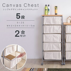 LoX`FXg5i `FXg LoXn rO [ X  LX^[t ߑP[X Ebhgbv z ߗގ[ i J MIP-279