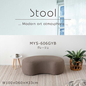 Xc[ 33cm O[W ֎q `FA | r[Y^ Vv _ I n t@ubN zn  u 傫 킢 ؍CeA TChe[u w