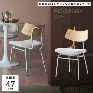 `FA ʍ47cm O[ 46 ֎q  ؐ k H֎q I  fXN`FA l| i` Vv t@ubN CX ؍ ّf i J PC-620GY