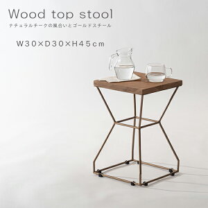 Xc[ 45cm CX TChe[u v^[x[X lp AeB[NS[h VR  Vv i` i J SLY-018