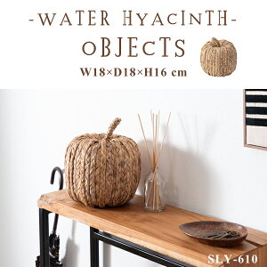 EH[^[qVX IuWF 18×16cm ь ʕ  {w~A y RpNg 킢 AWA ][g k i` ؍ ۂ i J SLY-610