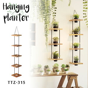 nMOv^[ 5i W20×D20×H112cm uE ݂邷 Ǌ| G u bN   K[fjO | i J TTZ-315