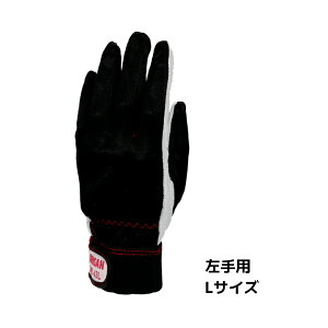 dHv\tgO[u p LTCY JND-43L Ў̂ fT DENSAN JND-43L-L