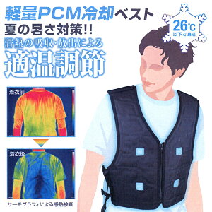 yPCMpxXg t[TCY jp DAISHIN i PCM-25F