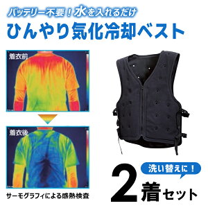 yʌEoׁzЂCpxXg t[TCY 2Zbg DAISHIN i WEC-25F