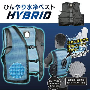 Ђ␅xXg HYBRID t[TCY (S`3L) DAISHIN i WHV-24F