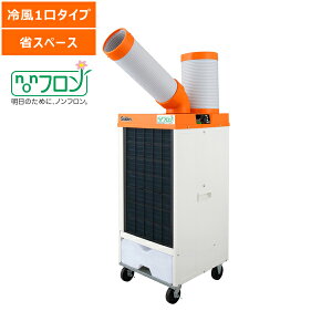 yʓrzyizX|bgGAR mt 1 U肠 P100V XCf SS-25DLN-1