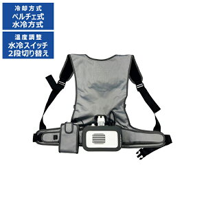 �y���`�F������x�X�g �v�����[�g PROMOTE PPSV-01