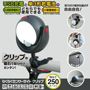 炭炭ZT[Cg Nbv 250[ USB[d P3`dr 2way i DLC-N600C