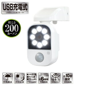 [dZT[CgA[t R i DLC-2T100A