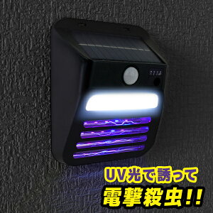 Et \[[EH[Cg IK i DLS-WL007