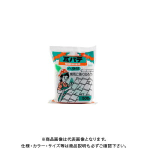 �ƒ뉻�w�H�� ���p�e �� 500G �w���c�L