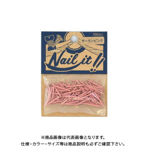 Y NAILITB#17×19 100{ܓ T[sN NF10013