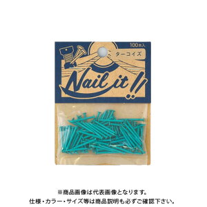 Y NAILITB#17×19 100{ܓ ^[RCY NF10019