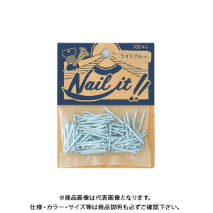 若井産業 NAILIT釘#17×19 100本袋入 ライトブルー NF10020