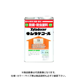 JynsI LVfR[ CX 3.4L 00017670680000