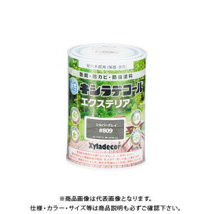 JynsI LVfR[ GNXeAS Vo[OC 0.4L 00047670250000