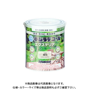 JynsI LVfR[ GNXeAS CX 1.6L 00047670400000