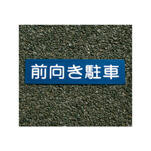 AgnEXyCg tATC O 40cm×10cm 00001-03689